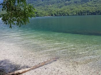 Tocht Stappen Bohinj - Lac de Bohinj - Photo