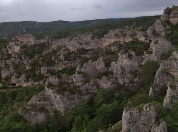 Tocht Stappen La Roque-Sainte-Marguerite - 12 chaos Montpellier le vx roquesaltes - Photo