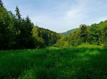 Trail On foot Bad Herrenalb - Große Runde über die Teufelsmühle - Photo