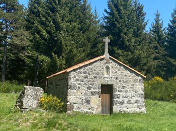 Excursión Senderismo Vielprat - De Le Bessel à Issanlas - Photo