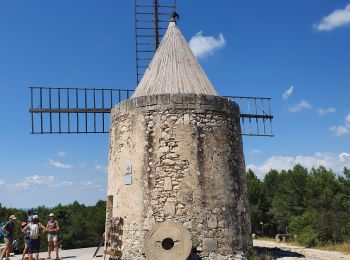 Tour Wandern Fontvieille - le moulin de Daudet - Photo