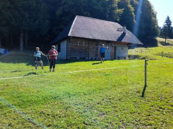 Trail Walking Montcel - MASSIF DES BAUGES: PLATEAU DU REVARD AUTOUR DE LA CROIX DES BERGERS (bis) - Photo