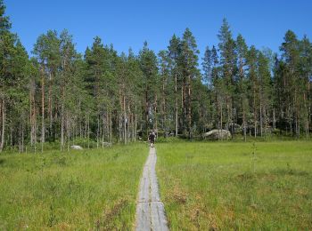 Randonnée A pied Ruovesi - Helvetistä itään - Photo