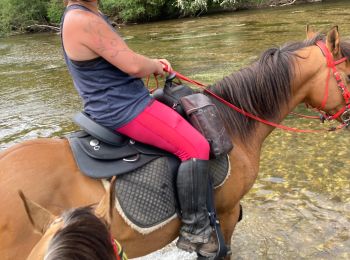Trail Horseback riding Hériménil - Herimenil baignade Tivio Kenzo tiboy  - Photo