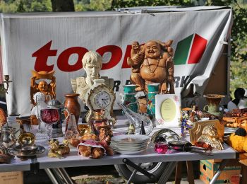 Tour Zu Fuß Bayerisch Eisenstein - Waldmaus - Photo