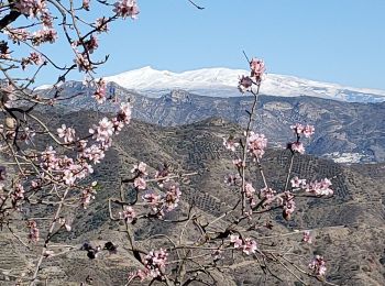 Tour Wandern Almuñécar - Rescate au dessus - Photo