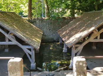 Tocht Stappen Soisy-sur-École - 2020-06-01 Dannemois Courances Soisy 16 km - Photo