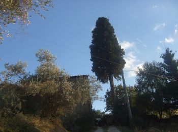 Tocht Te voet Arezzo - IT-549/B - Photo