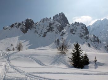 Excursión A pie Schilpario - (SI D24S) Passo del Vivione - Rifugio Baita Iseo - Photo