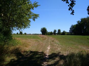 Trail Walking Pont-de-Ruan - Pont-de-Ruan - Couteau - 14.1km 120m 3h15 - 2022 07 08 - Photo