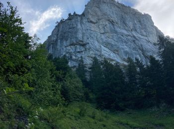 Randonnée Trail Fillière - Chalette l’Anglette - Photo