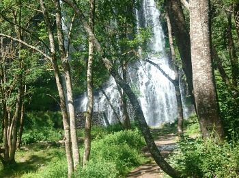 Trail Walking Solignac-sur-Loire - cascade de la beaume  haute loire - Photo