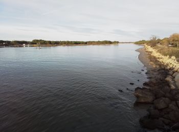 Randonnée Marche La Grande-Motte - En bordure du Ponant  - Photo