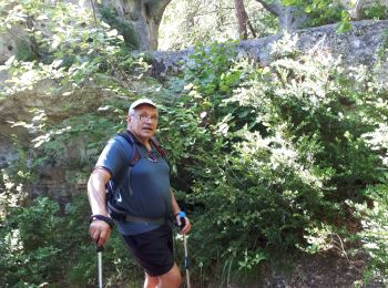 Trail Walking Le Rozier - gorge de la JONTE - Photo