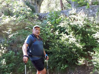 Tocht Stappen Le Rozier - gorge de la JONTE - Photo