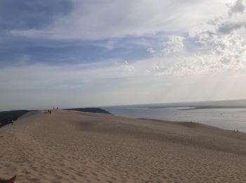 Randonnée Marche La Teste-de-Buch - arcachon dune de pyla  - Photo