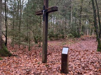 Trail Walking Saint-Léger - Chemin des croix - Photo