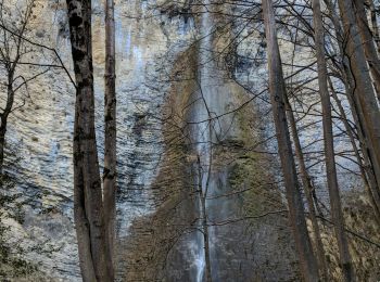 Randonnée V.T.T. Innimond - innimond cascade du Luizet AR - Photo