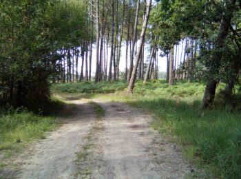 Trail Walking Moliets-et-Maâ - Moliets - Photo