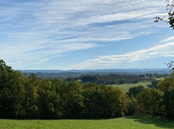 Trail sport Meyssac - Sob collonges quatre routes du lot - Photo