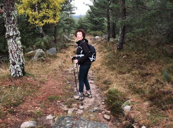 Trail Walking Pont de Montvert - Sud Mont Lozère - Masméjean / le pont du Tarn - Photo