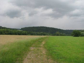 Randonnée A pied Inconnu - Quellbergweg - Photo