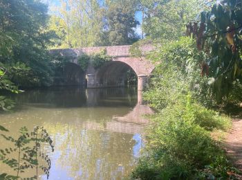 Trail Walking Saint-Aubin-des-Ormeaux - Saint Aubin des Ormeaux - Photo