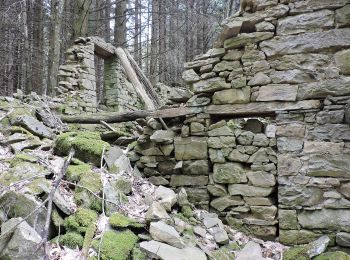 Tour Zu Fuß Cantagallo - Sentiero CAI 21 - Sez. Prato - Photo