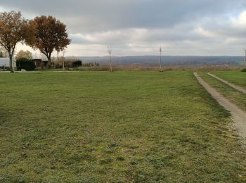 Randonnée Marche Chevannes - Chevannes - Photo