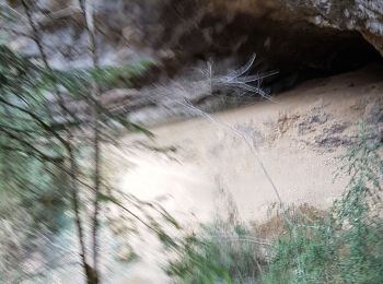 Tocht Stappen Oyonnax - Grotte de Lordon - Photo