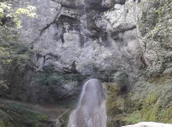 Randonnée Marche Dramelay - des ruines de Dramelay à la cascade de Quinquenouille - Photo