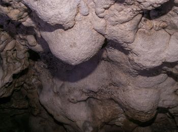 Percorso A piedi Königstein - Rundweg Königstein – Steinberg - Photo