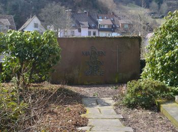 Randonnée A pied Wolfach - Wolfach - Hornberg - Photo
