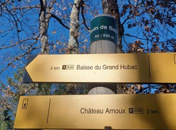 Tour Wandern Château-Arnoux-Saint-Auban - CHATEAU ARNOUX . LES 3 PONTS . LE BELLON . LES CRETES . O L - Photo