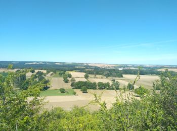 Tocht Stappen Lindry - AVF LINDRY 06062023 - Photo