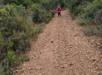 Trail Walking Roquebrune-sur-Argens - z la Bouverie 17-09-24 - Photo