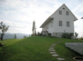 Excursión A pie Leutschach an der Weinstraße - Glanzer Hoftour (Variante 1 - Kurzvariante) - Photo