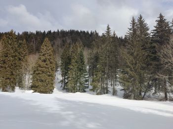 Excursión Raquetas de nieve Autrans-Méaudre en Vercors - Pas de Nave  - Photo
