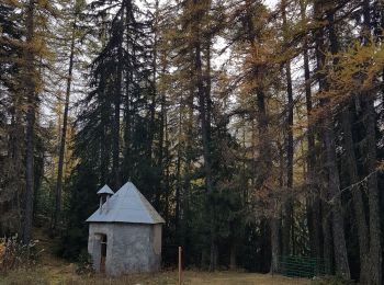 Trail Walking Crots - Lac du Lauzerot en boucle - Photo