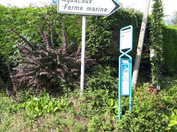 Tour Wandern Octeville-sur-Mer - Octeville sur Mer / la ferme aquatique / Octeville sur Mer - Photo