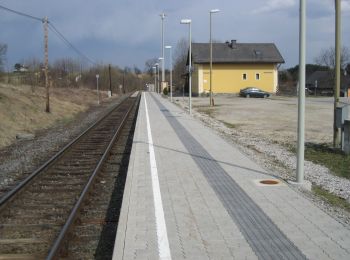 Tocht Te voet Dechantskirchen - Flourlweg (Weg H, 6.7 km) - Photo