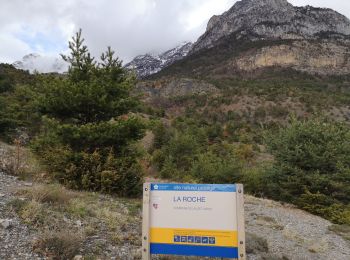 Trail Walking Le Lauzet-Ubaye - Réserve naturelle de LA  Roche. 07/04/19. - Photo