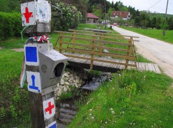 Percorso A piedi Farkasgyepű - K+ (Farkasgyepű - Németbánya - Kő-domb) - Photo