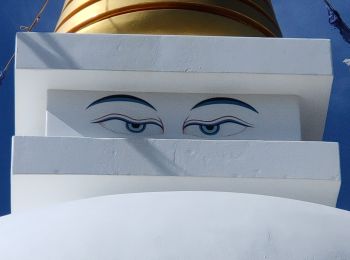 Randonnée Marche Vélez-Málaga - Tour de la Atalaya et Stupa Karmen Guen - Photo
