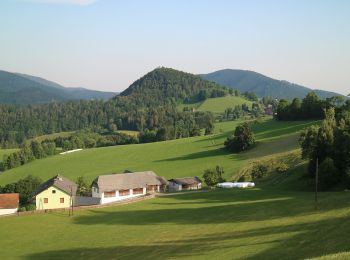 Tour Zu Fuß Semriach - Hochglaserer Runde 12a - Photo