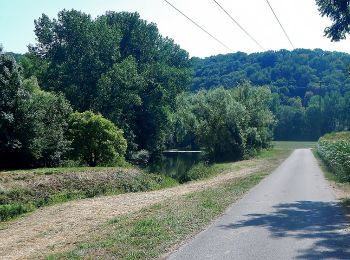 Randonnée A pied Jagsthausen - Jagsthausen-Berlichingen - Photo