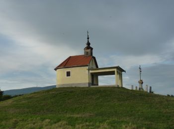 Tocht Te voet Abasár - Sc ( Abasári körút ) - Photo