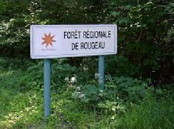 Tour Wandern Saint-Pierre-du-Perray - Boucle dans le Sud de la Forêt de Rougeau - Photo