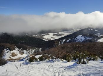 Randonnée Raquettes à neige Léoncel - Pierre chauve - Photo