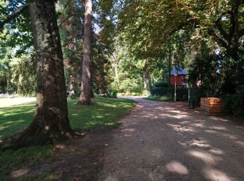 Trail Walking Tours - Tours - GR3 le Cher La Gloriette - 10.2km 50m 1h55 - 2018 10 21 - Photo